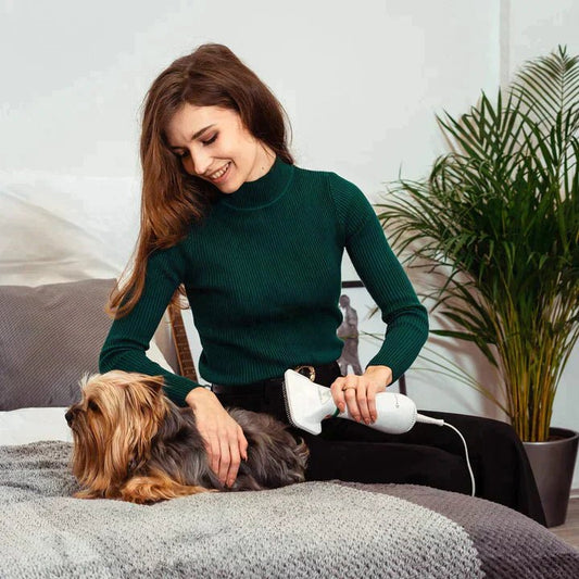 PetGlide Pro Secador profesional de mascotas 2 en 1 (cepillo + secador) | OFERTA 50% - [PROMOCIÓN DISPONIBLE SOLO HOY]